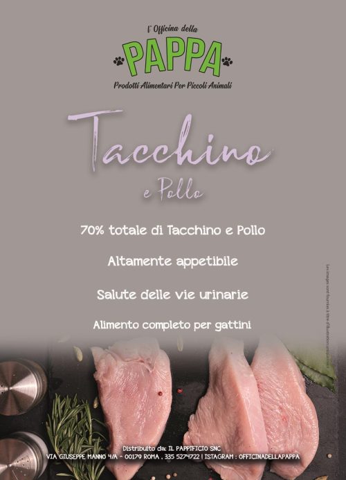 Croccantini Tacchino e Pollo