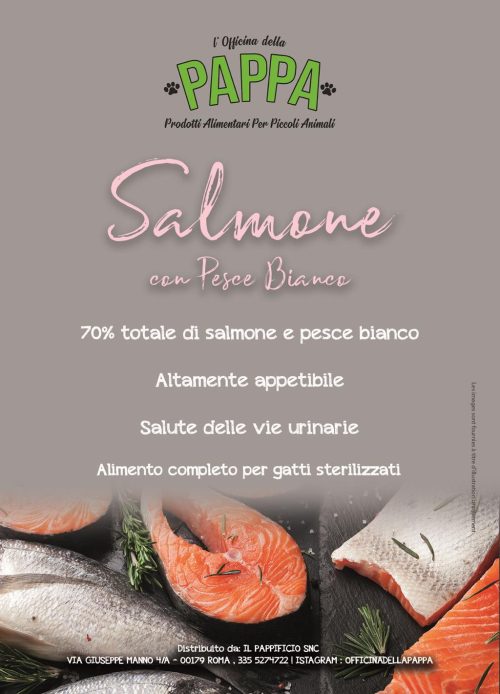 Croccantini Salmone con pesce bianco