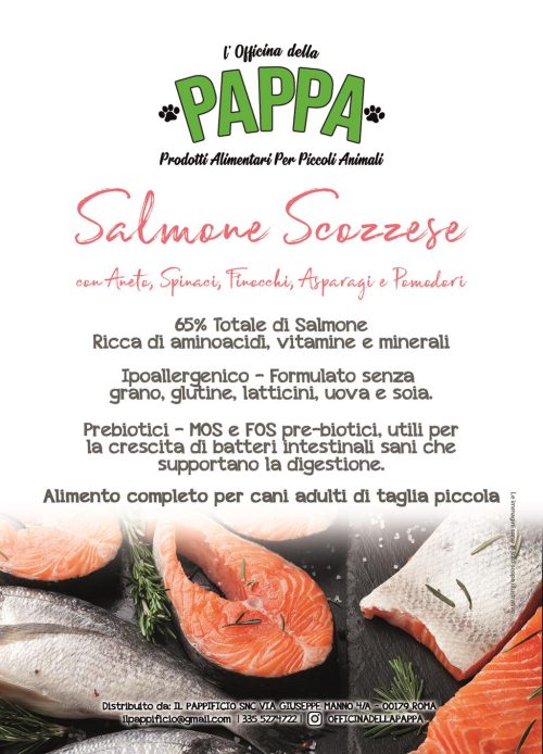 crocchette salmone