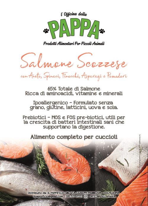 Crocchette Salmone Cuccioli