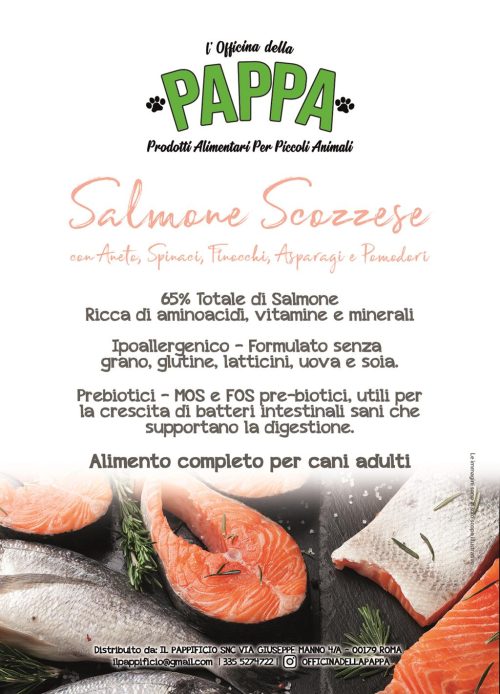 Crocchette Salmone