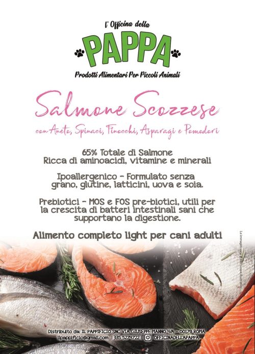 Crocchette Salmone Light - SFV