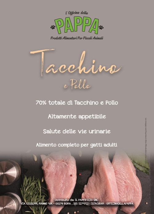 Croccantini Tacchino e Pollo - CCT