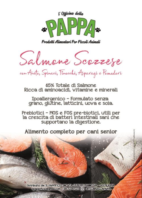 Crocchette Salmone Senior - SFK